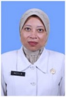 HETI HERASTUTI, MP., IR