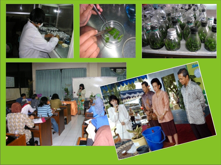 Program Studi Agroteknologi