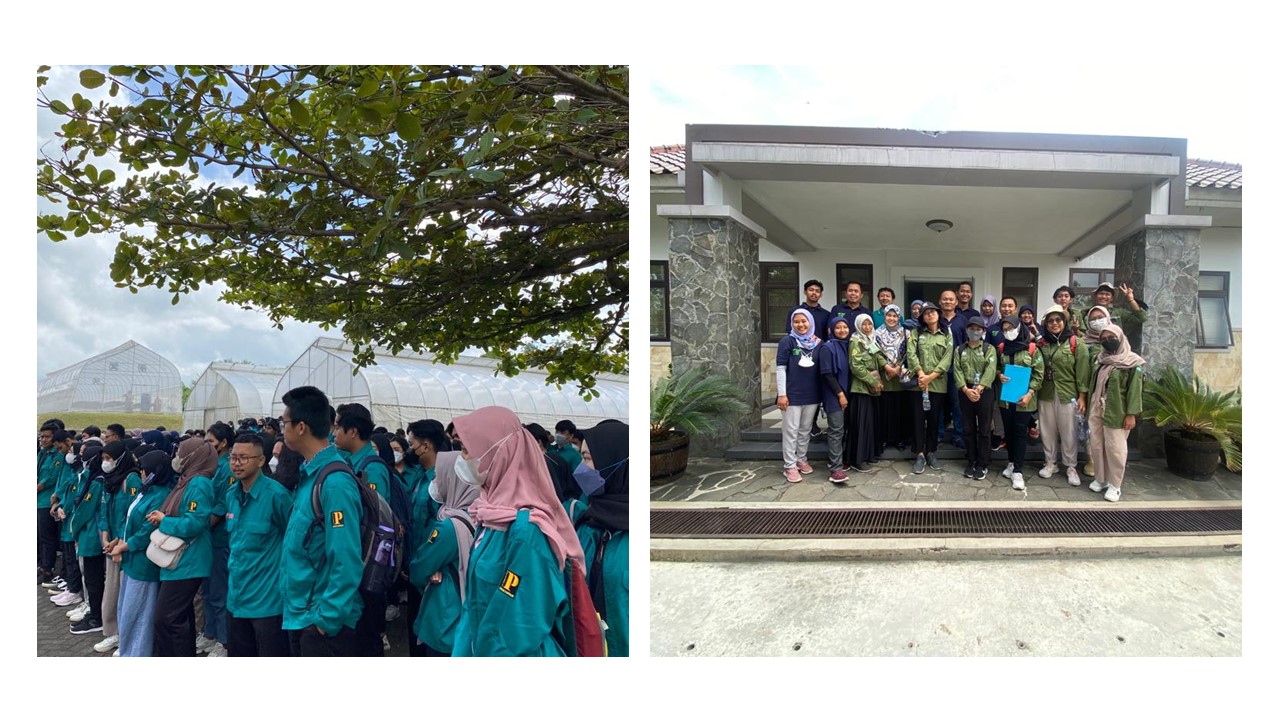 Program Studi Agroteknologi