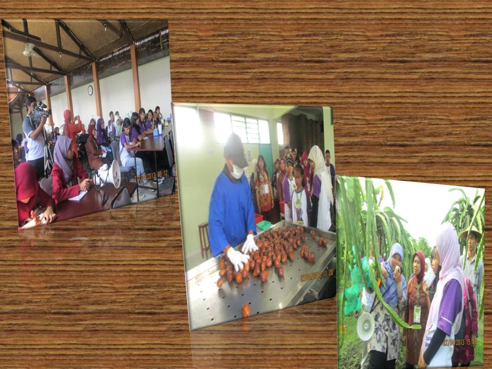 Program Studi Agroteknologi