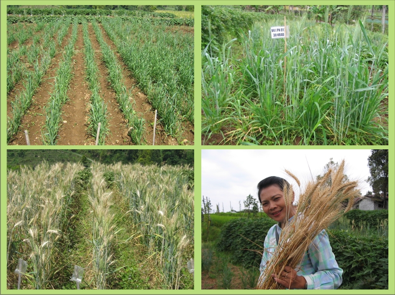 Program Studi Agroteknologi