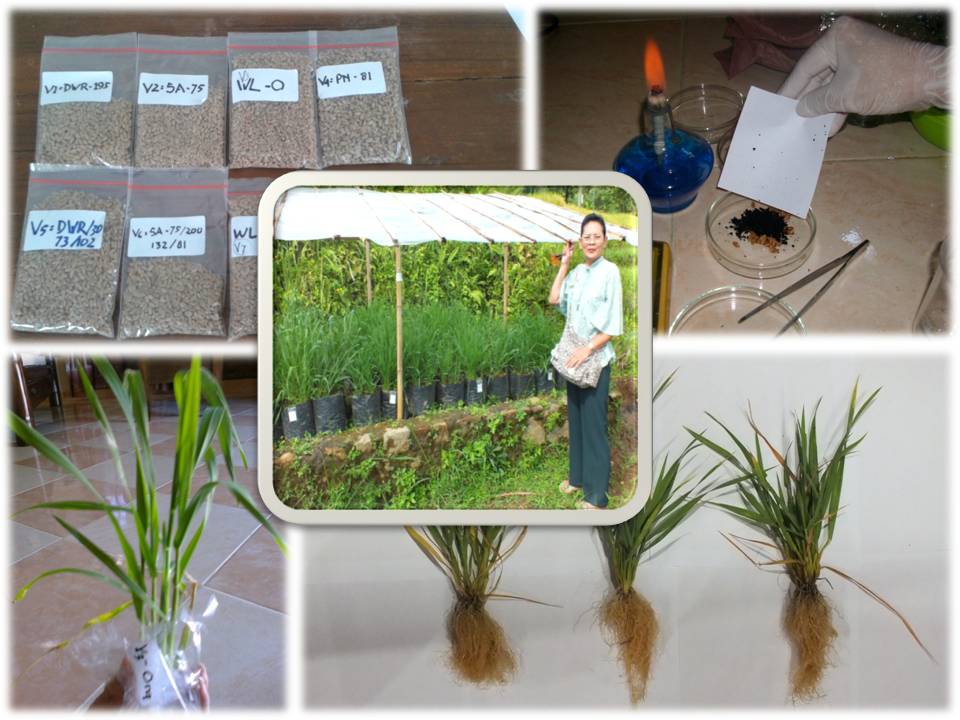 Program Studi Agroteknologi