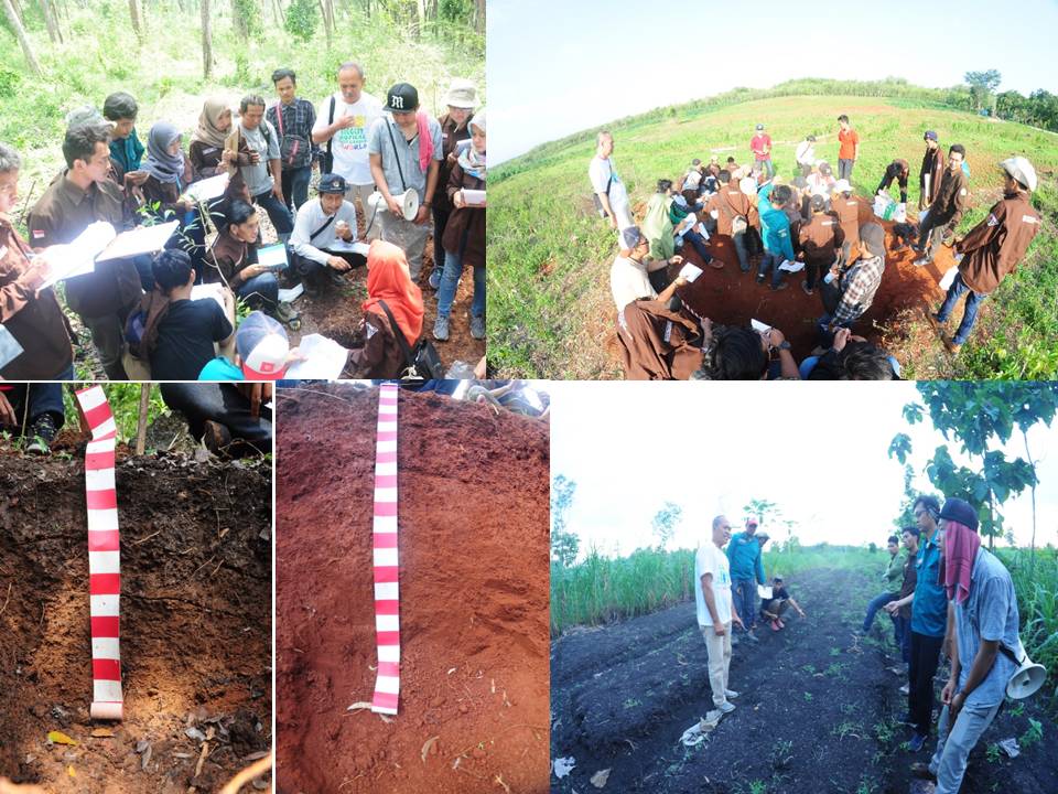 Program Studi Agroteknologi