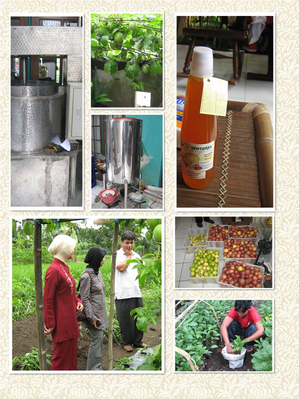 Program Studi Agroteknologi