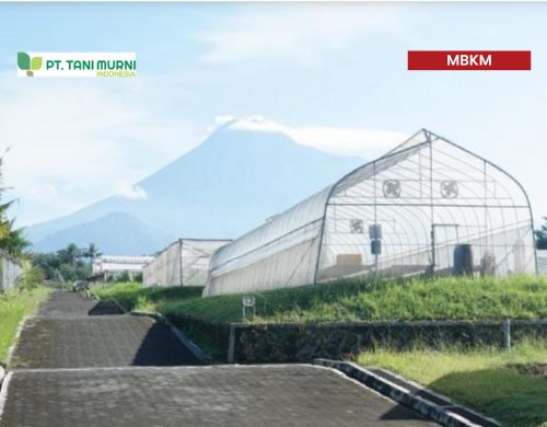 Program Studi Agroteknologi
