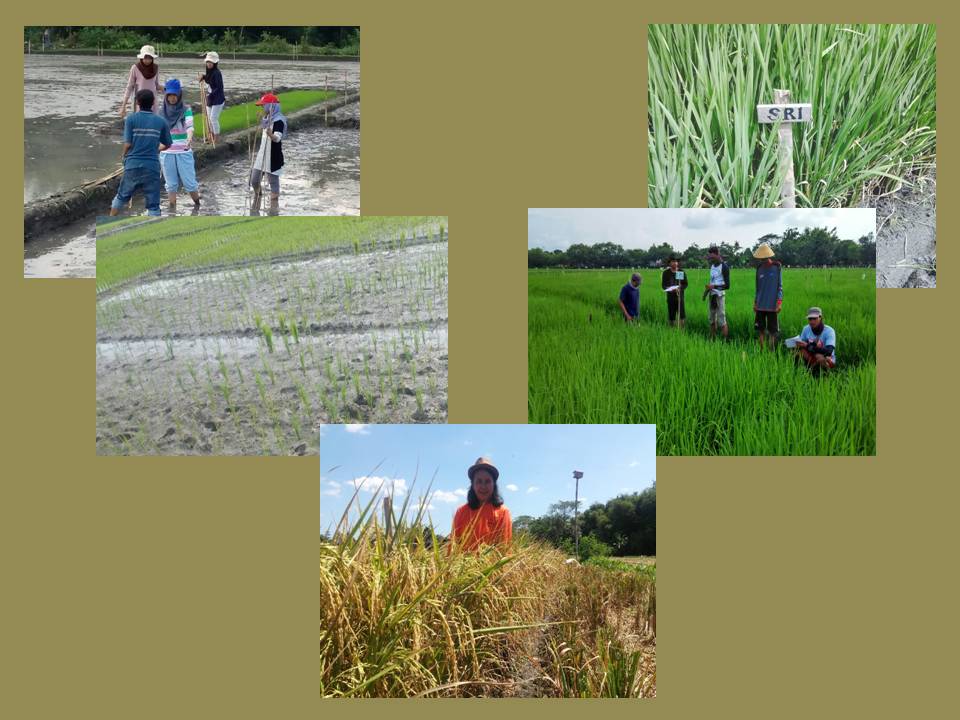 Program Studi Agroteknologi
