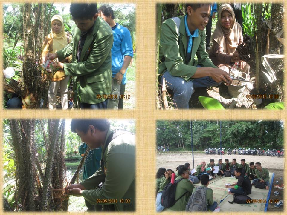 Program Studi Agroteknologi