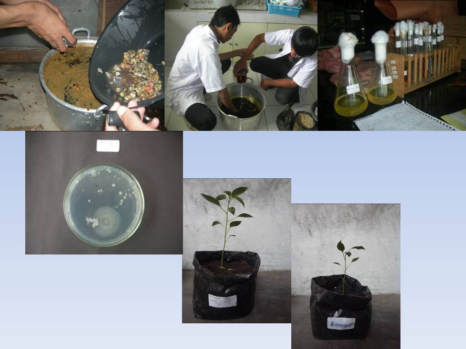 Program Studi Agroteknologi
