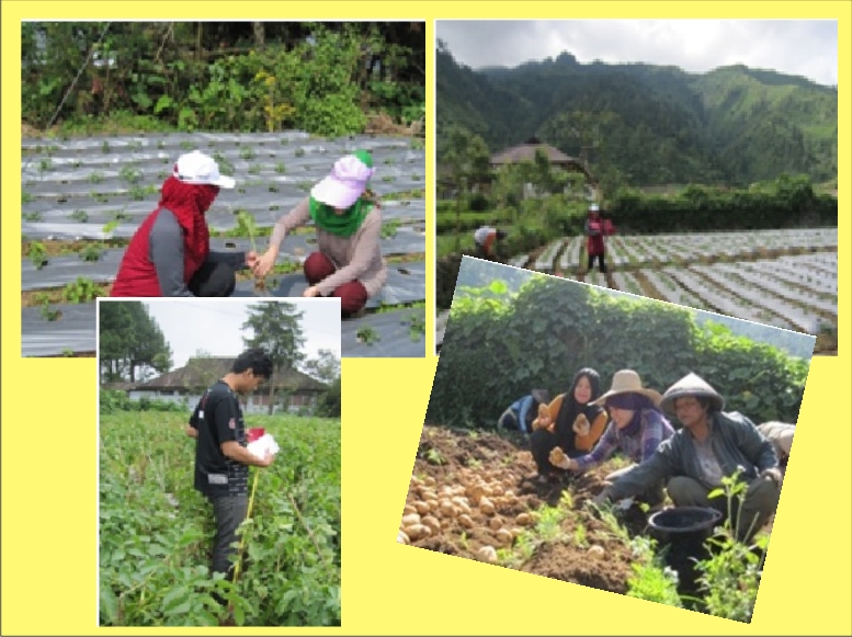 Program Studi Agroteknologi