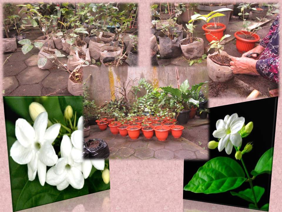 Program Studi Agroteknologi